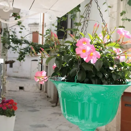 Casa Claudia * 普蒂尼亚诺